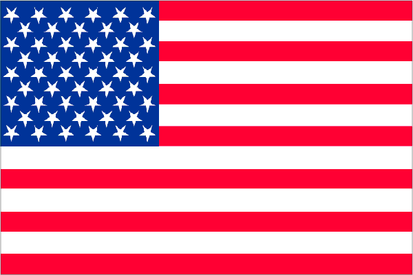 Modern US Flag