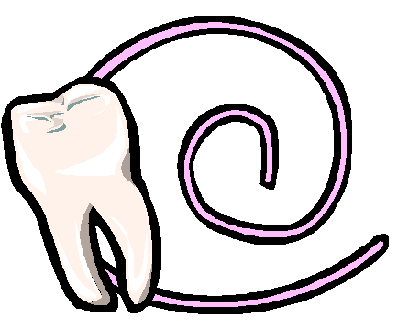 Tooth and dental floss
