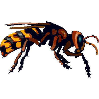 Bee