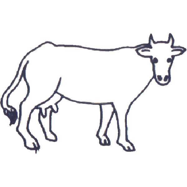 Cow