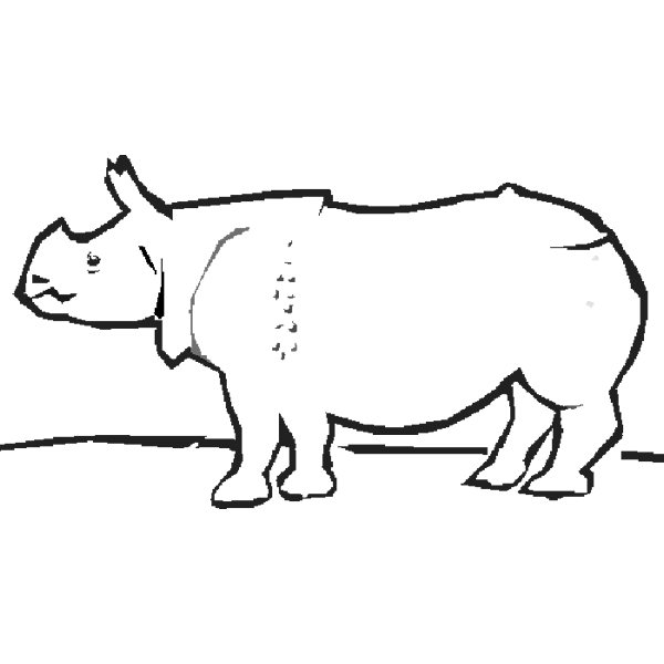 Rhino