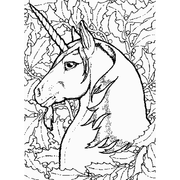 Unicorn