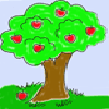 Apple Tree